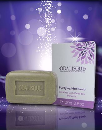 Picture of Set of 2 - 100% Natural Dead Sea Mineral Purifying Mud Soap